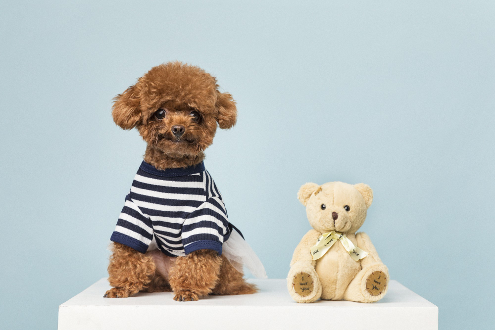 mes complices contre la phobie des chiens : un chien et un ours en peluche